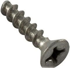 Pentair 516241 - 8 by 1 1.4 Inch Pan Head Stainless Steel Screw
