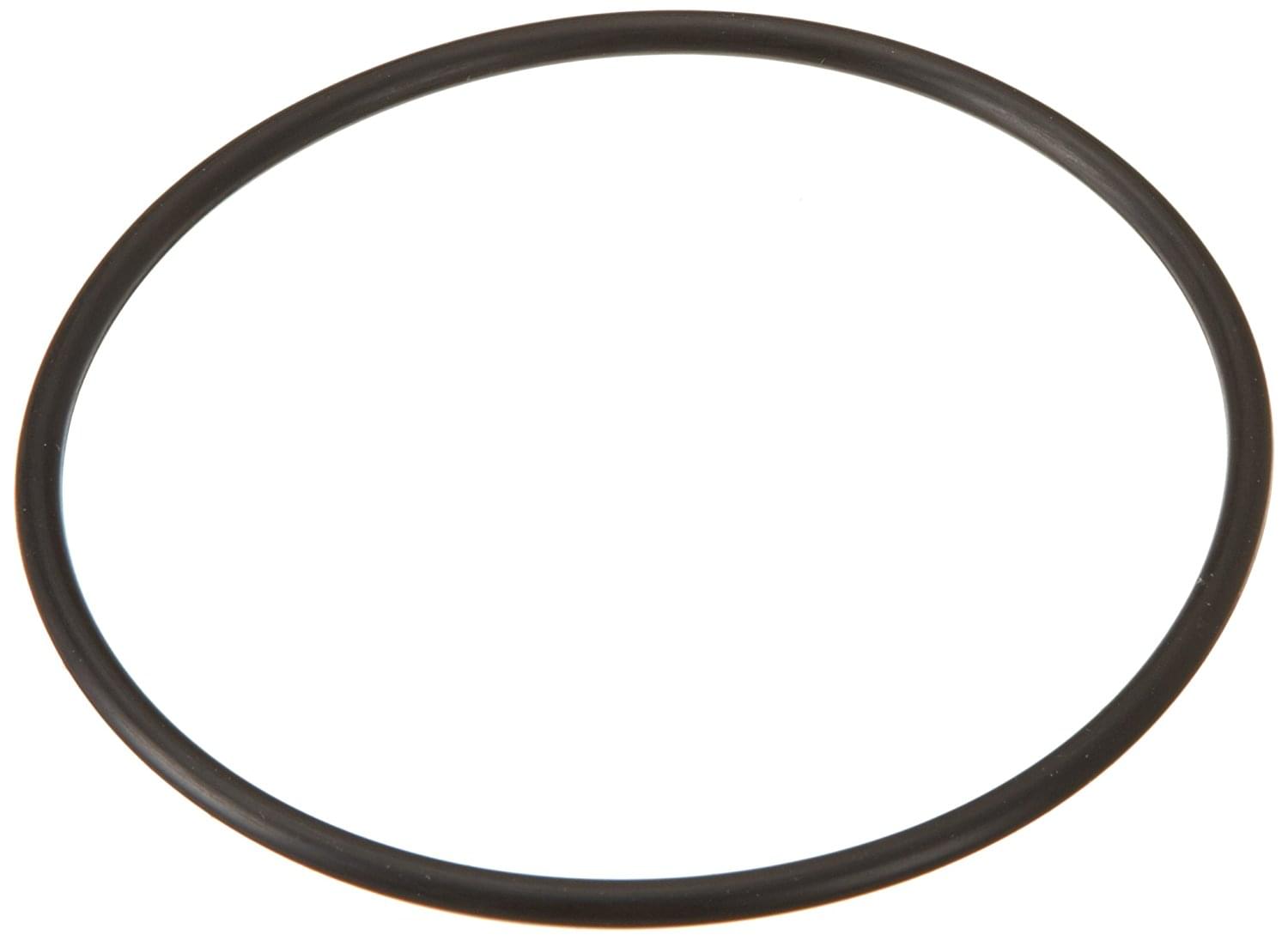 Hayward GLXDIYORING - O-Ring Replacement For Salt Cell