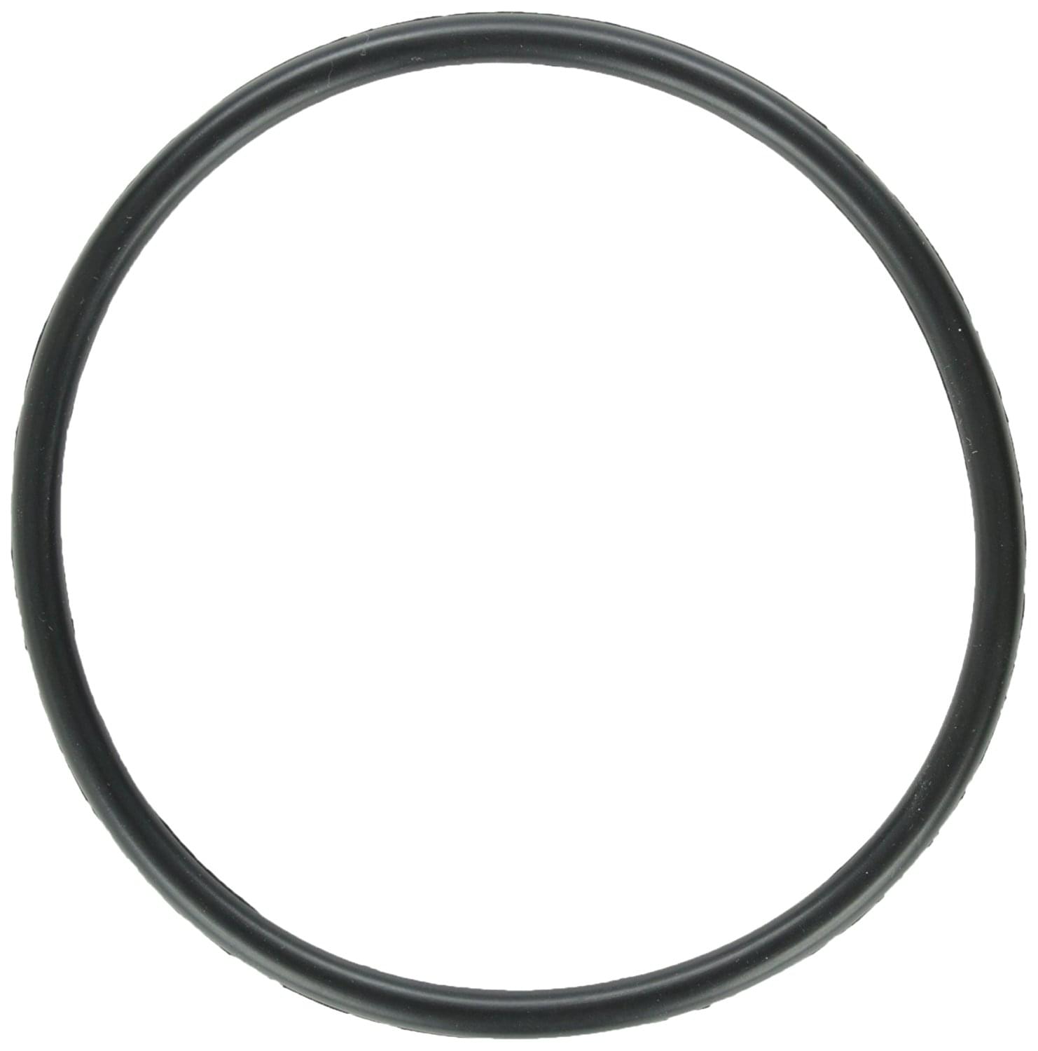 Zodiac W151211 - Electrode O-Ring Replacement