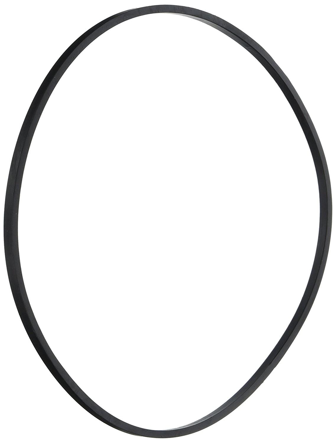 Pentair 355329 - O-Ring Front Housing