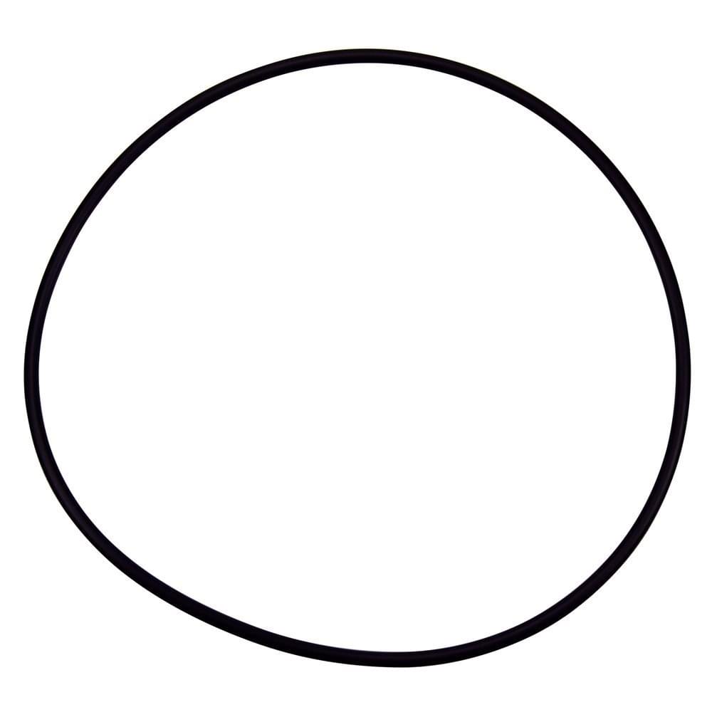 Pentair Cover O-Ring
