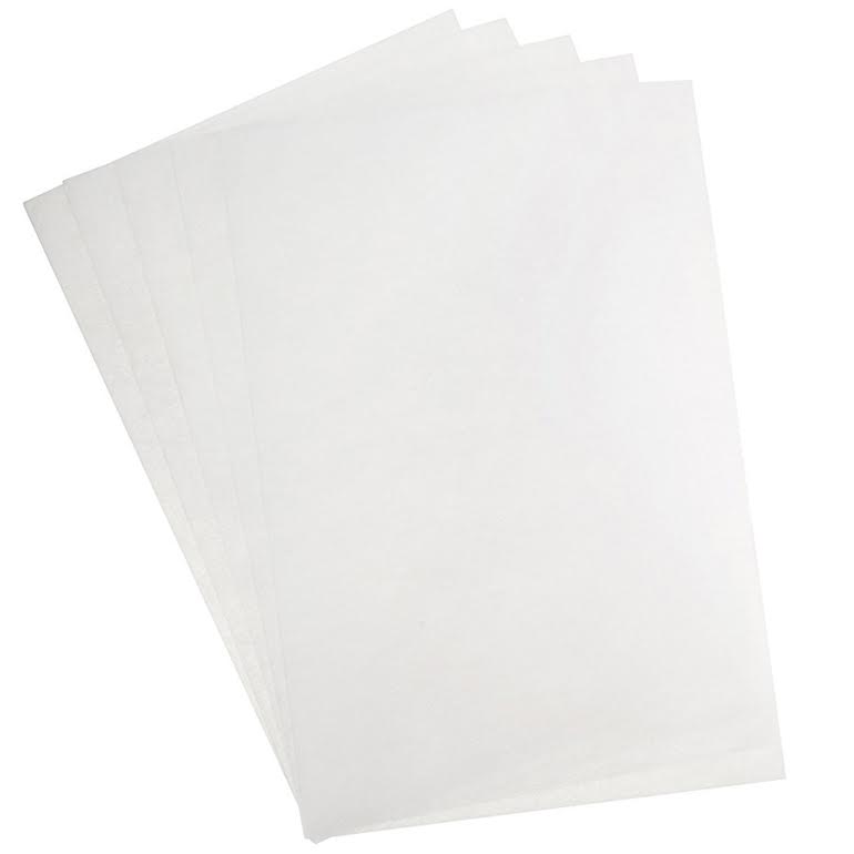 Disposable PreFilters (Pack of 5) Pool Supplies Canada