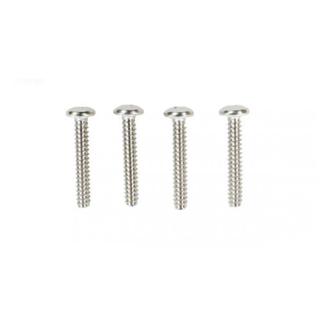 Hayward GLXGVA4SCR - Kit 4 Screws 1.25/1.5