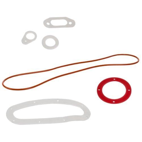 Jandy R0590900 Pro Series Gasket Kit Pool Supplies Canada