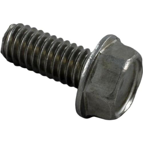 Pentair 354265 - Stainless Steel Hex Washer Screw1 3/8 by 1 7/8 by 1/32
