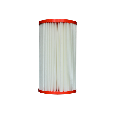 Pleatco pour les spas Comfort Line - PSTG5 - Caisse de 2