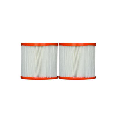 Cartouche Sofina Pool, Bestway Flowclear - Pkt de 2