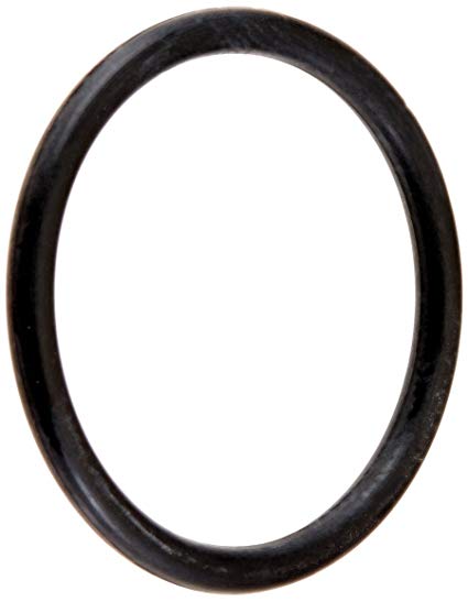 Hayward - CX250Z7 - Joint torique de remplacement pour Star-Clear II de Hayward