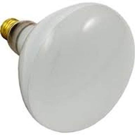 Hayward - SPX0541Z1 - 300 Watt 12v Bulb R-40