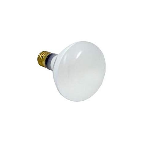 Hayward - SPX0542Z4 - Ampoule R-40 300 watts 110v