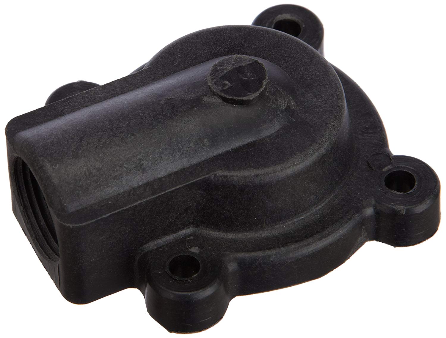 Hayward - RCX8130 - AKC Plug Cover