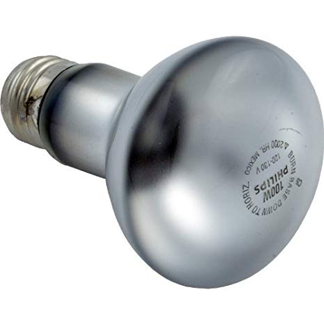 Hayward - SPX0551Z4 - 100 Watt 120 Volt Bulb R-20