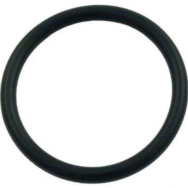 Hayward - SPX0410Z2 - Piston O-Ring (Large)