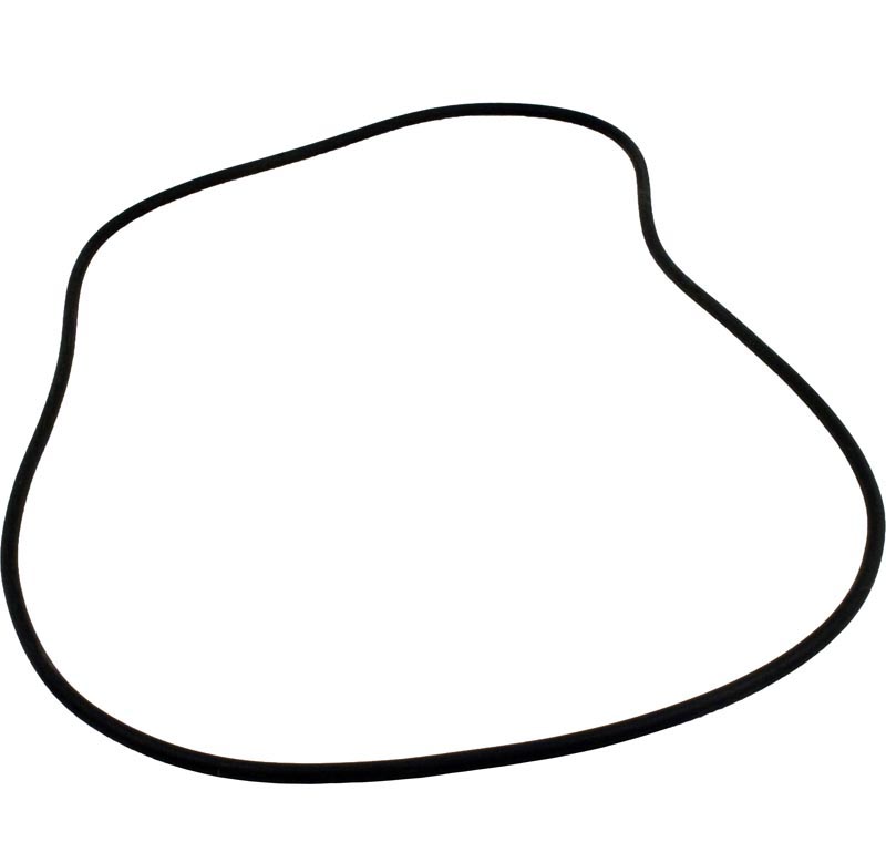 Hayward - SX240Z1 - O Ring 60 Duro | Pool Supplies Canada