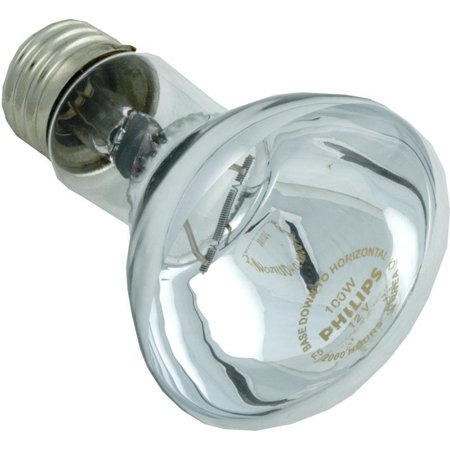 Discontinued Hayward - SPX0550Z4 - 100 Watt Bulb 12V  R-20
