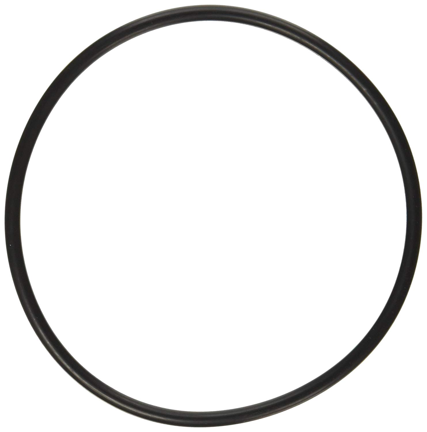 Hayward Strainer Cover O-Ring
