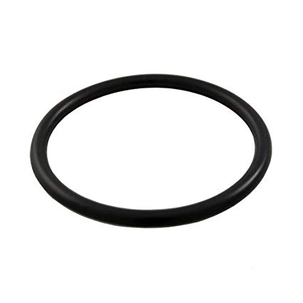 Hayward - SPX1022CZ2 - O-Ring