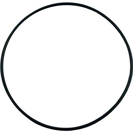 Hayward - SPX1705Z1 - Housing O-Ring Gasket