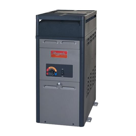 propane heaters for above ground pools