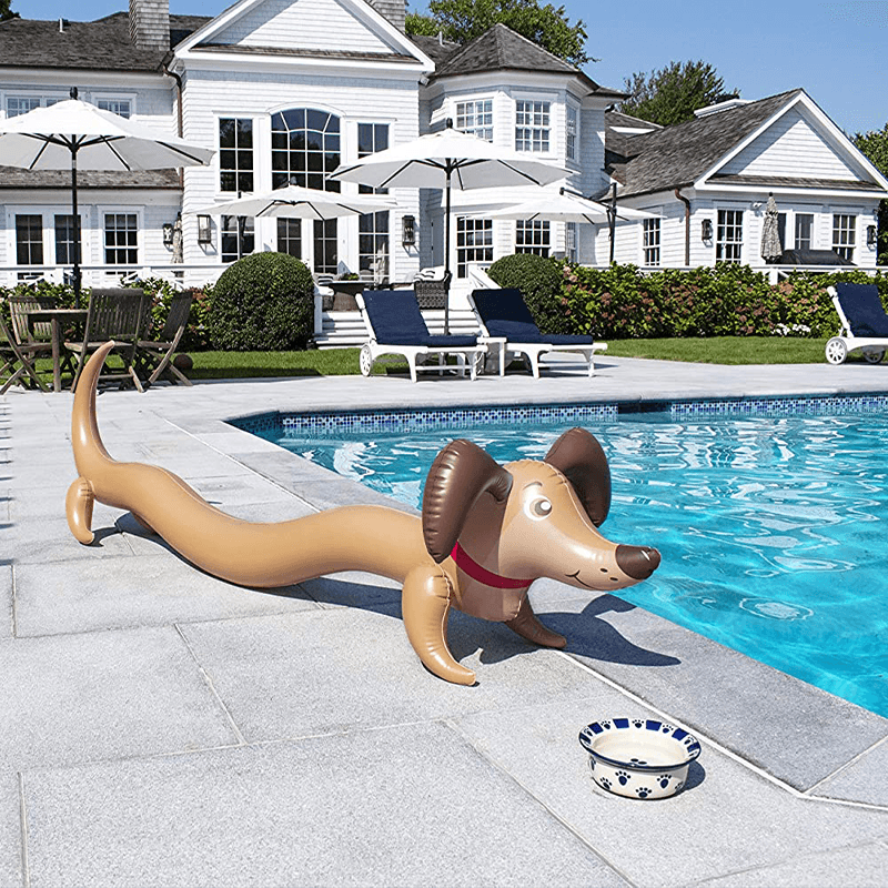 Doogie Inflatable Doodle Ride On Pool Float Pool Supplies Canada