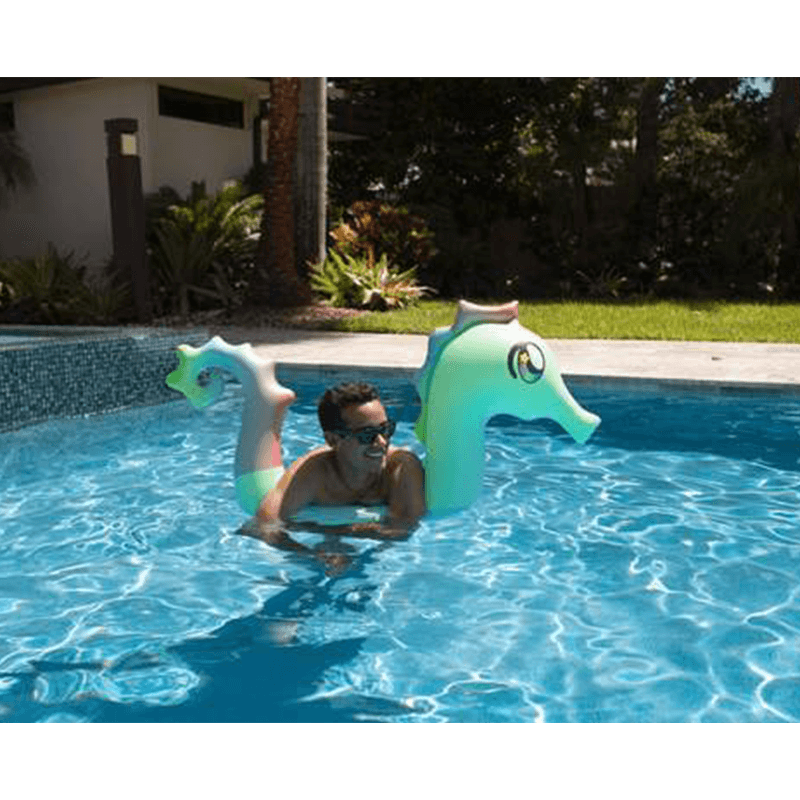 Pool Candy Ride-On Seahorse Pool Noodle