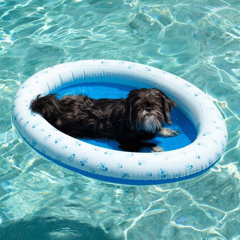 Pool Candy Inflatable Ride-On Pool Float for Pets (Up to 35 Pounds)