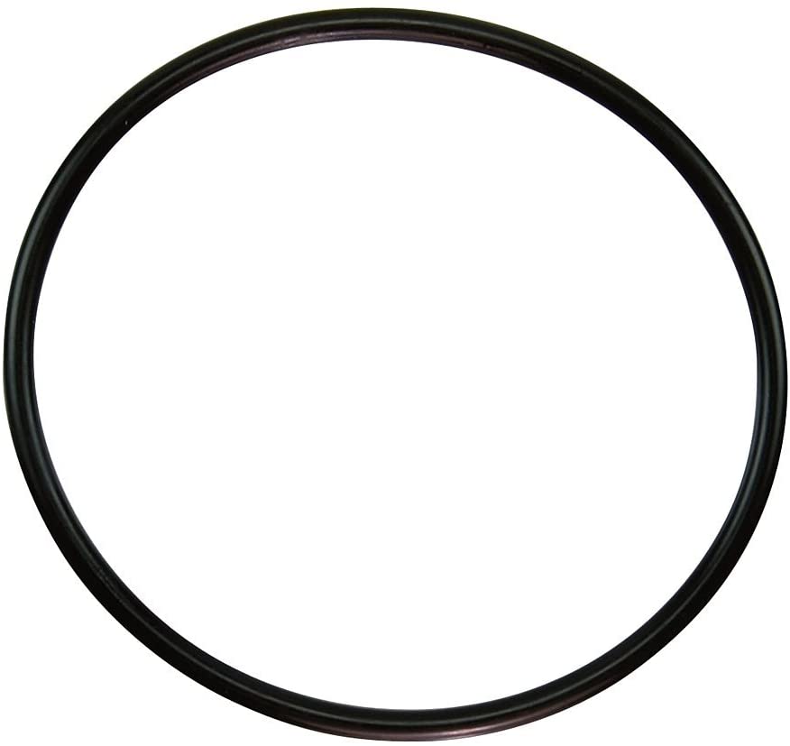 Pentair O-Ring Replacement