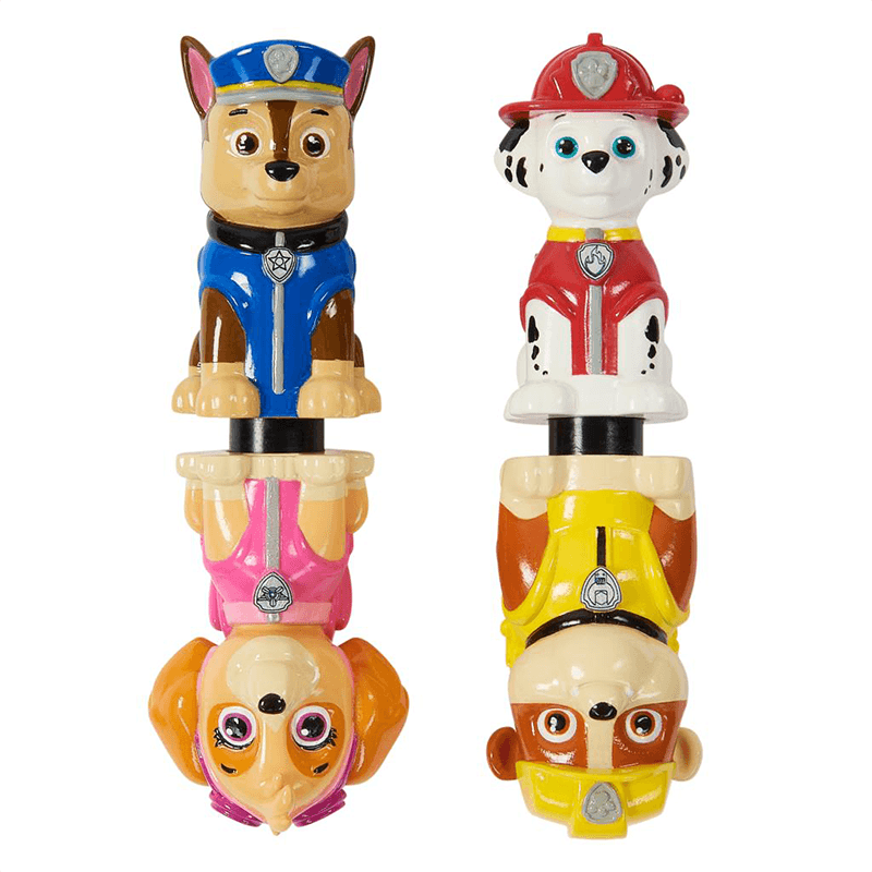 Paw Patrol Learn to Swim Pool Dive Sticks