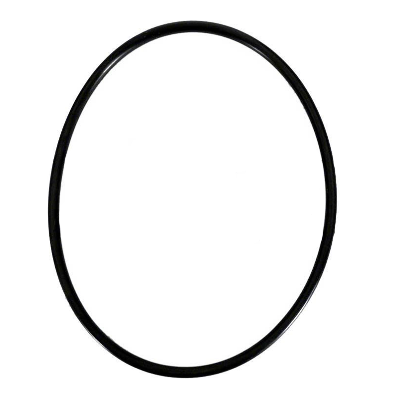 Joint torique 51011900 pour vannes multiports Pentair à montage supérieur - Filtres 22 pouces