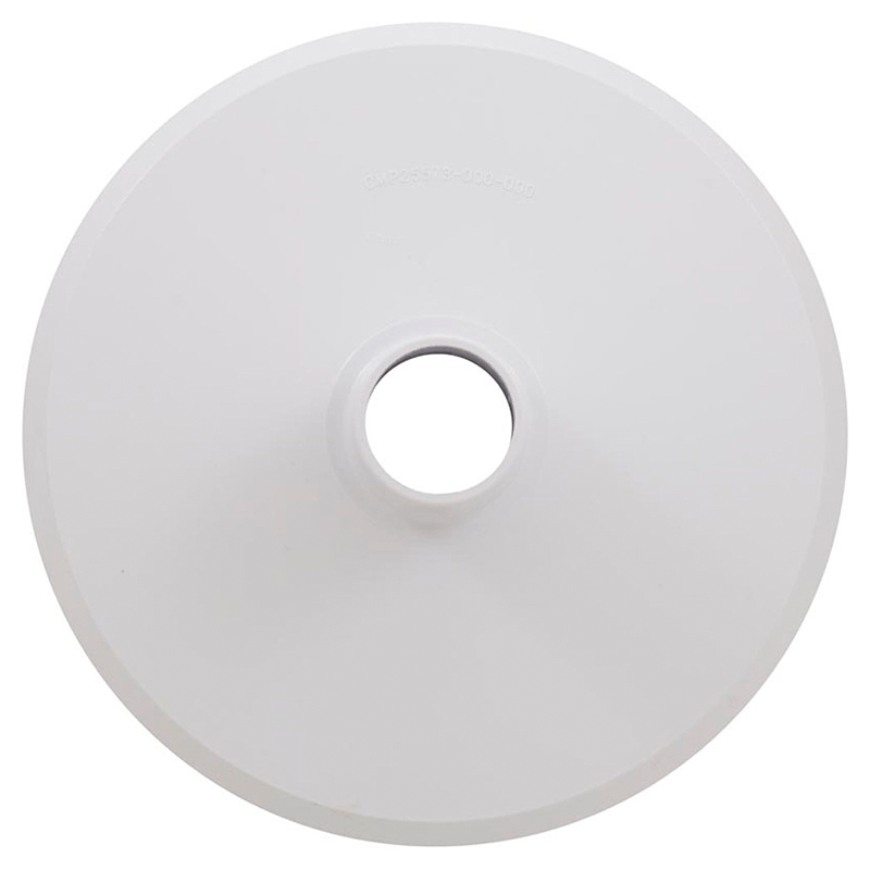 Hayward 25573100000 Plaque d'écumoire de piscine creusée de rechange