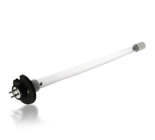 Ampoule de remplacement Paramount Clear O3