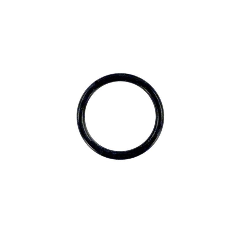 Zodiac R0694100 - Truclear O-Ring, Replacement
