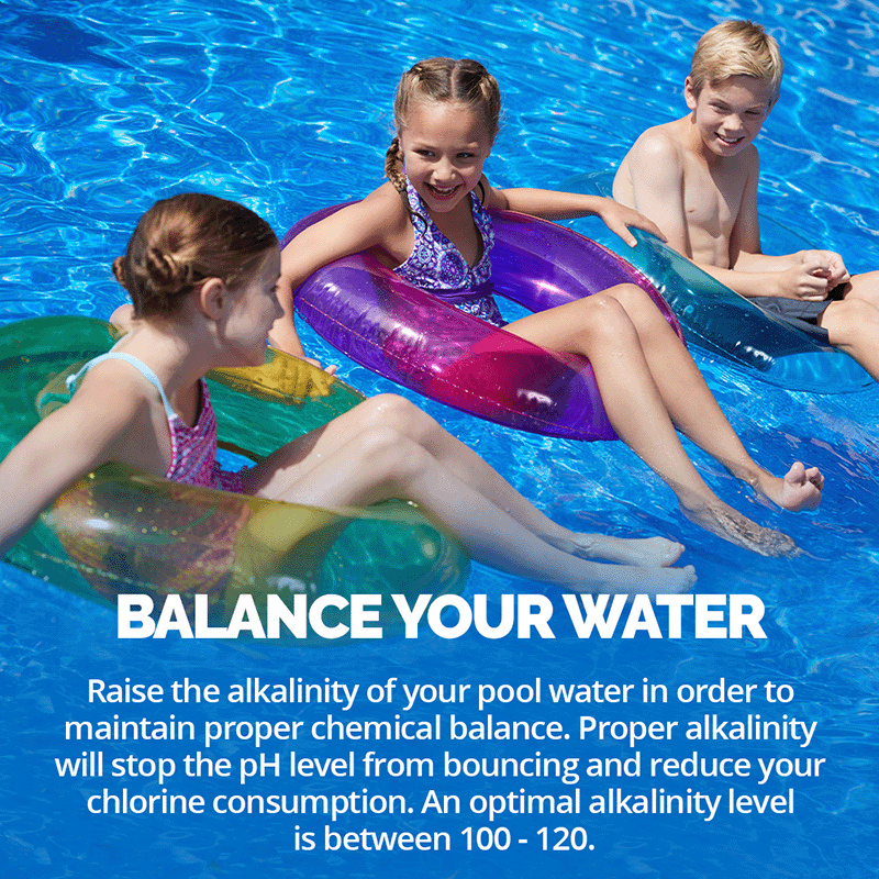 Alkajuster (8 Kg) by Pool Supplies Canada