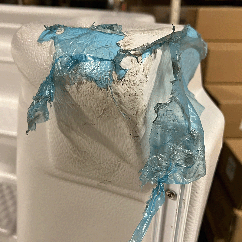 Open Box Marches Courbées de 8 pieds Piscine Creusée