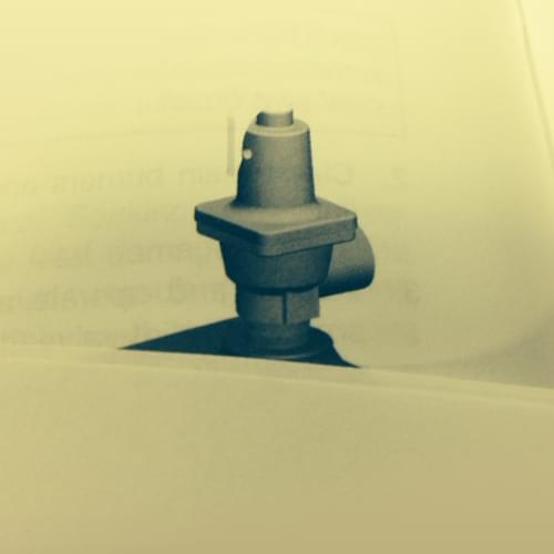 Raypak 3/4 Inch Pressure Relief Valve 30 PSI