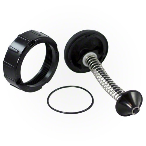 Jandy R0453700 - Bypass Assembly, Polymer