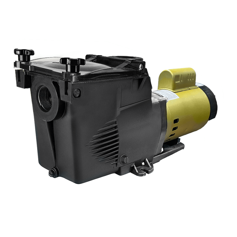 1 HP Inground Pump with Square Wet End