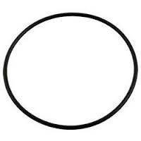 Hayward Housing O-Ring