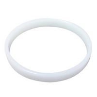 Zodiac W81600 - Retaining Ring