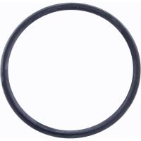 Anneau Primaire - Zodiac - R0511600