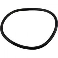 Jandy R0480200 - Lid O-Ring, FHP
