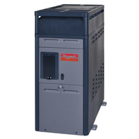 RayPak 150,000 BTU Natural Gas Pool Heater with Riser (156A)