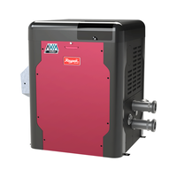 Chauffe-piscine électronique au propane RayPak AVIA de 264 000 BTU avec NiTek