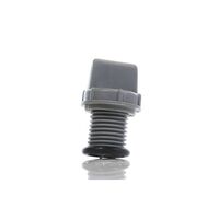 Raypak Drain Plug