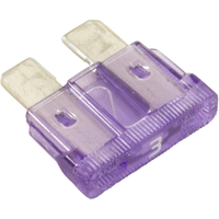 Hayward FDXLFSKC30 - Bulk 3.0 Amp Blade Fuse Kit 