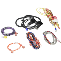 Jandy Wire Harness Set