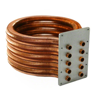 Pentair Tubesheet/Coil Assembly Kit