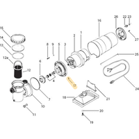 Vis a tête cylindrique bombée #8 x 1/2