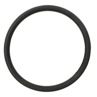 Hayward - SPX1500M - O Ring