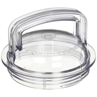 Couvercle Crépin - Pentair 355301